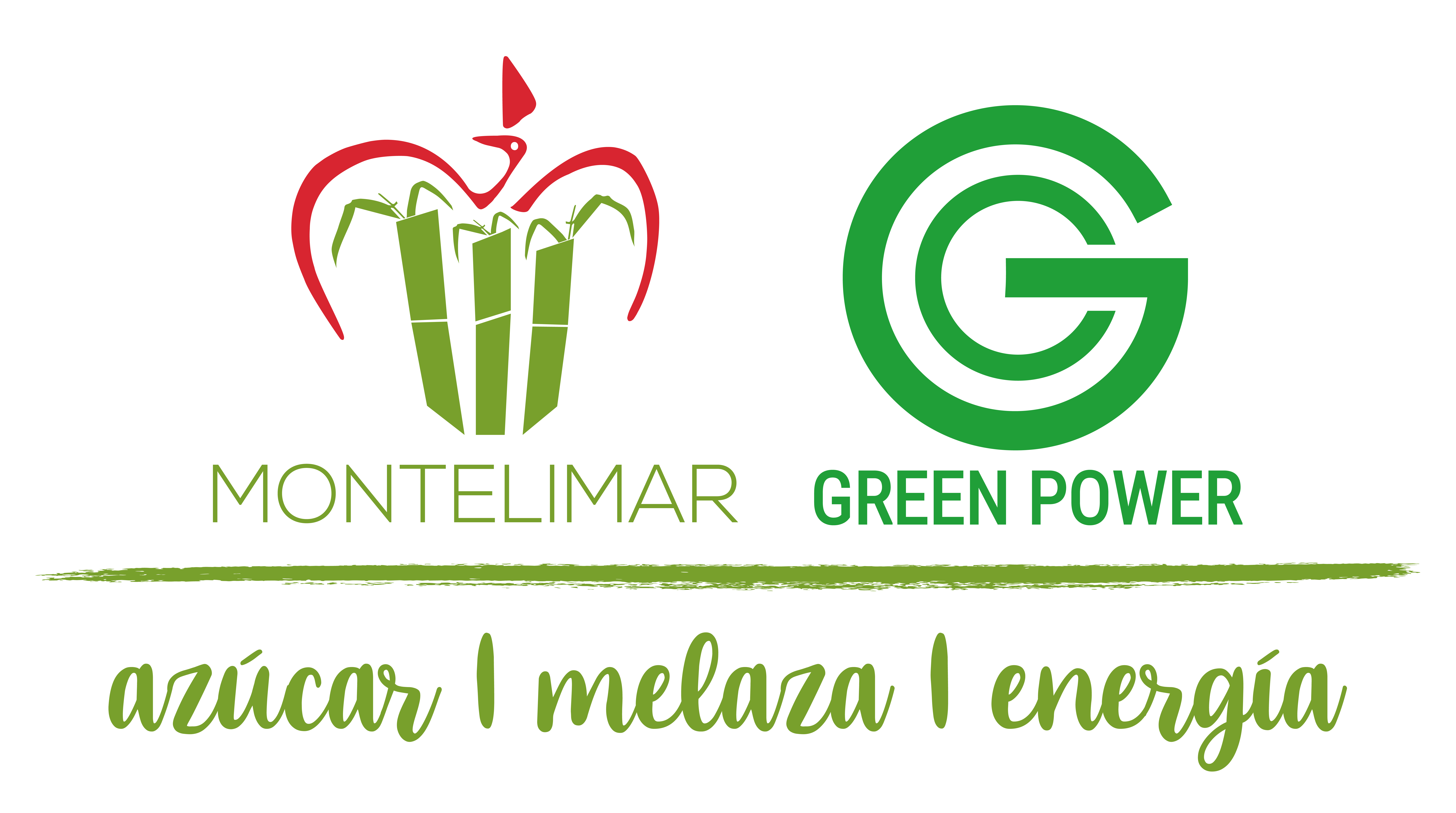 Corporación Montelimar S.A. | Cogeneración Green Power S.A.